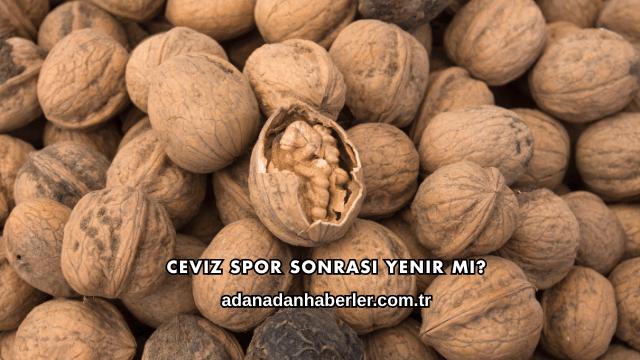 Ceviz Spor Sonrası Yenir mi?