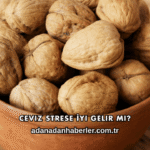 Ceviz Strese İyi Gelir mi?