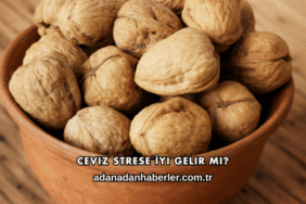 Ceviz Strese İyi Gelir mi?