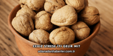 Ceviz Strese İyi Gelir mi?