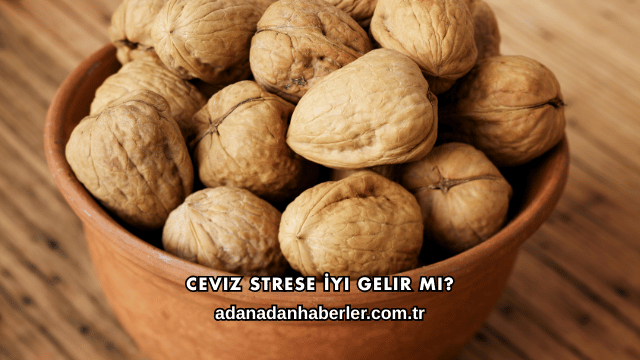 Ceviz Strese İyi Gelir mi?