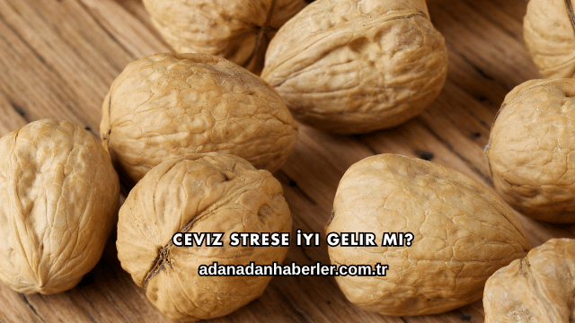 Ceviz Strese İyi Gelir mi?