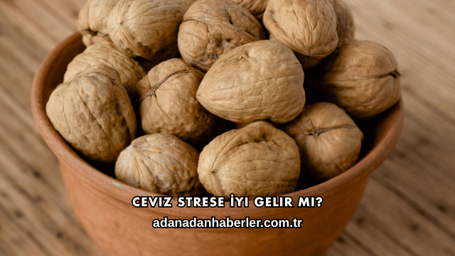 Ceviz Strese İyi Gelir mi?