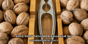 Ceviz Sütlü Tatlılarda Kullanılır mı?