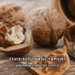 Ceviz Sütü Nasıl Yapılır?