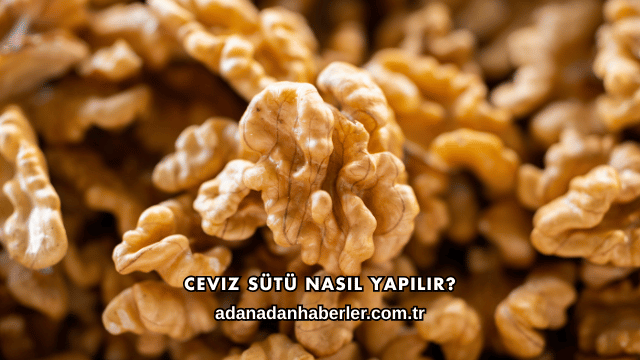 Ceviz Sütü Nasıl Yapılır?