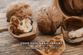Ceviz Sütü Nasıl Yapılır?