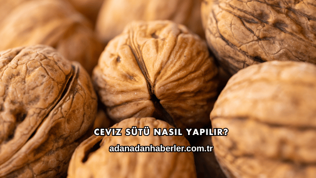 Ceviz Sütü Nasıl Yapılır?