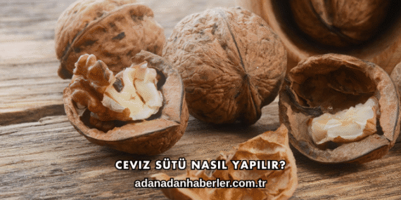 Ceviz Sütü Nasıl Yapılır?