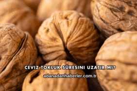 Ceviz Tokluk Süresini Uzatır mı?