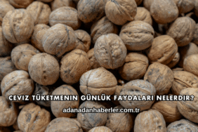 Ceviz Tüketmenin Günlük Faydaları Nelerdir?