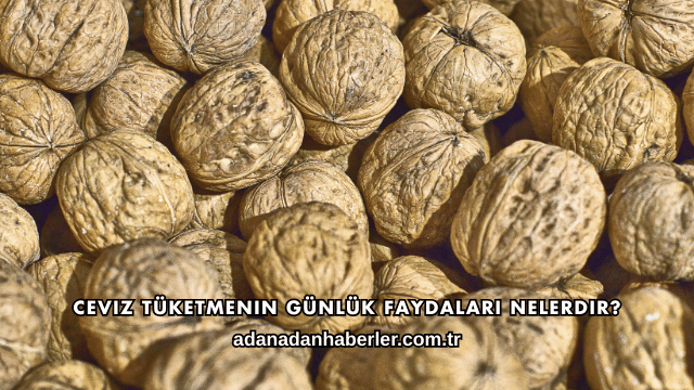 Ceviz Tüketmenin Günlük Faydaları Nelerdir?