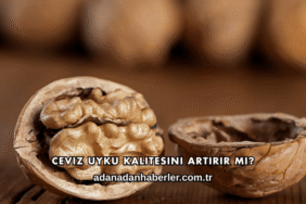 Ceviz Uyku Kalitesini Artırır mı?