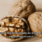 Ceviz Yedikten Sonra Su İçilir mi?