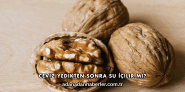 Ceviz Yedikten Sonra Su İçilir mi?