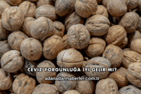 Ceviz Yorgunluğa İyi Gelir mi?
