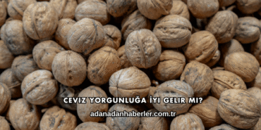 Ceviz Yorgunluğa İyi Gelir mi?