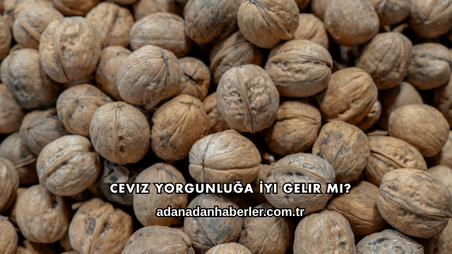 Ceviz Yorgunluğa İyi Gelir mi?