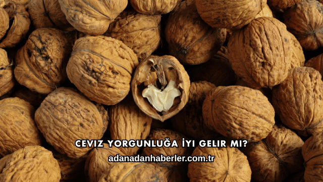 Ceviz Yorgunluğa İyi Gelir mi?