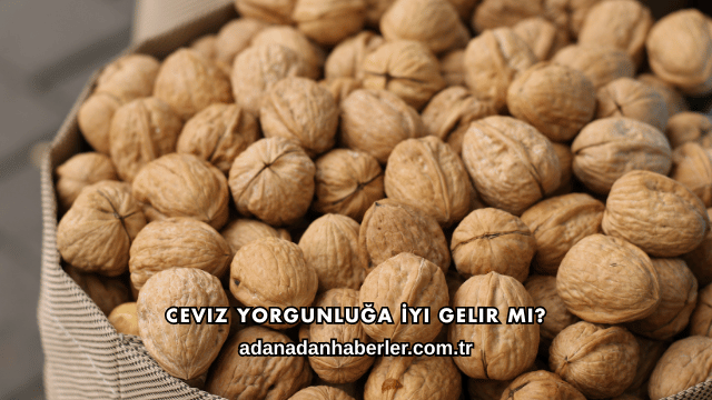 Ceviz Yorgunluğa İyi Gelir mi?