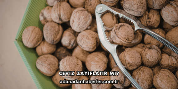 Ceviz Zayıflatır mı?