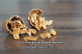 Cevizin Besin Değeri Nedir?