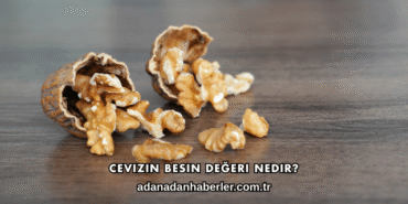 Cevizin Besin Değeri Nedir?