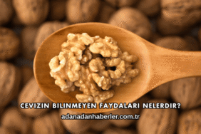 Cevizin Bilinmeyen Faydaları Nelerdir?
