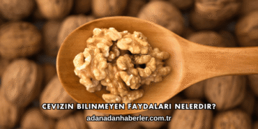 Cevizin Bilinmeyen Faydaları Nelerdir?