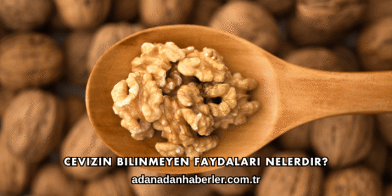 Cevizin Bilinmeyen Faydaları Nelerdir?