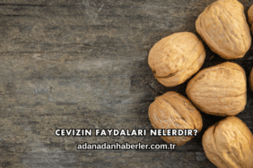 Cevizin Faydaları Nelerdir?