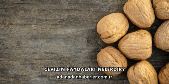 Cevizin Faydaları Nelerdir?