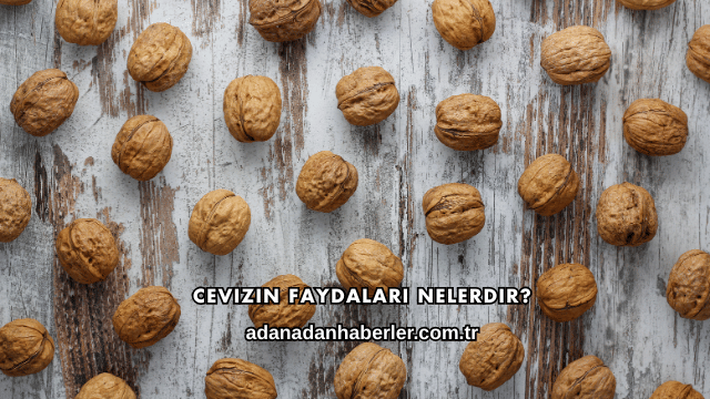 Cevizin Faydaları Nelerdir?