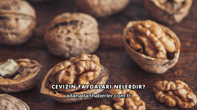 Cevizin Faydaları Nelerdir?