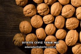 Diyette Ceviz Yenir mi?