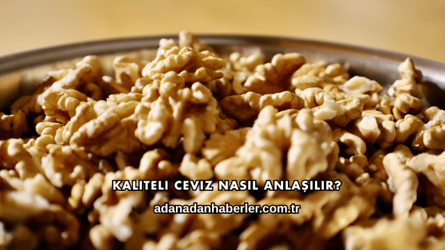 Kaliteli Ceviz Nasıl Anlaşılır