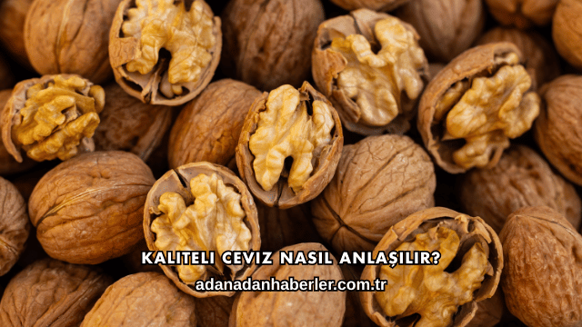 Kaliteli Ceviz Nasıl Anlaşılır