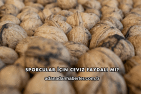 Sporcular İçin Ceviz Faydalı mı?