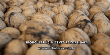 Sporcular İçin Ceviz Faydalı mı?