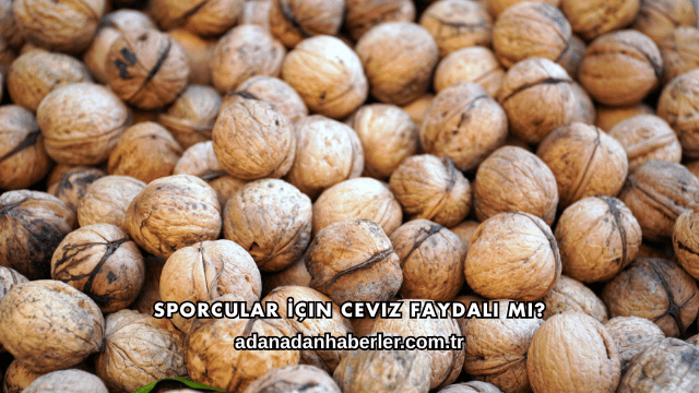 Sporcular İçin Ceviz Faydalı mı?